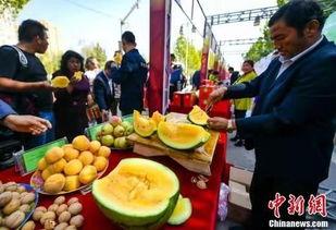 项城近期吃瓜视频,揭秘当地热点事件背后的真相