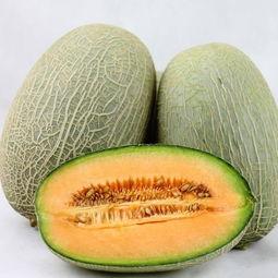 粗暴吃哈密瓜视频大全集,粗暴吃瓜瞬间大盘点