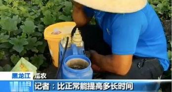 三门峡吃瓜视频曝光,揭秘网络热点背后的真相