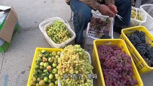 哈密吃瓜哪里好吃啊视频,探寻哈密吃瓜胜地美食攻略