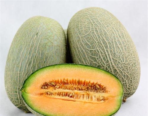 鸟会吃哈密瓜吗视频讲解,哈密瓜在鸟儿餐桌上的地位