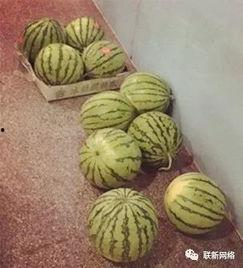 再走一波吃瓜视频大全,揭秘吃瓜视频大全背后的热点与趣味