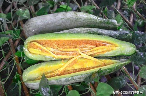 网红吃瓜视频在哪里,热门话题背后的真相大起底