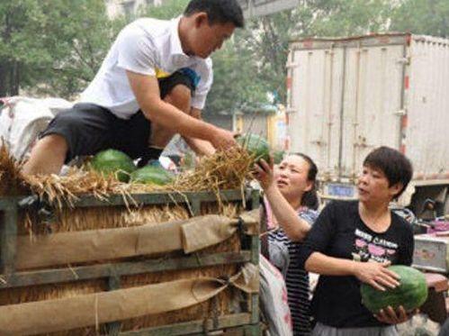 永泰县吃瓜事件视频,一场引发热议的网络视频风波