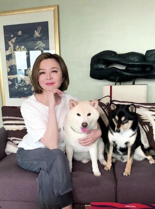 港星吃瓜视频,揭秘娱乐圈幕后真相