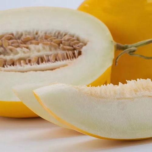 吃冰糖蜜瓜视频,冰糖蜜瓜视频带你领略瓜果飘香